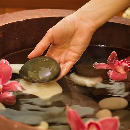 Отель Riviera - Terme & Wellness Lifeclass